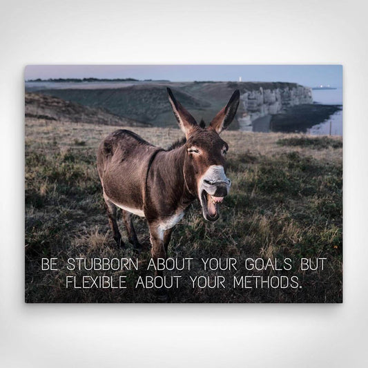 „Stubborn Donkey“ canvas picture by Motivational Art front view